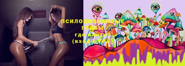 кокс Баксан